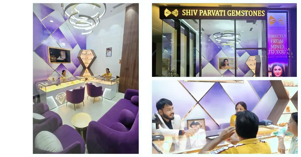 Showroom Retail Sector 18